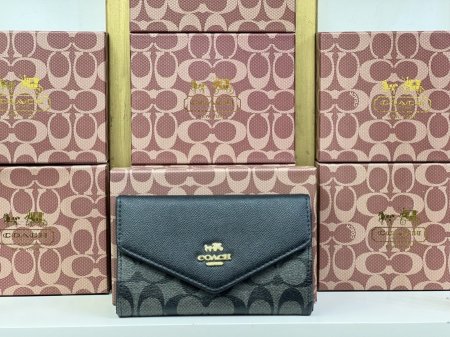 Coach wallet master quality